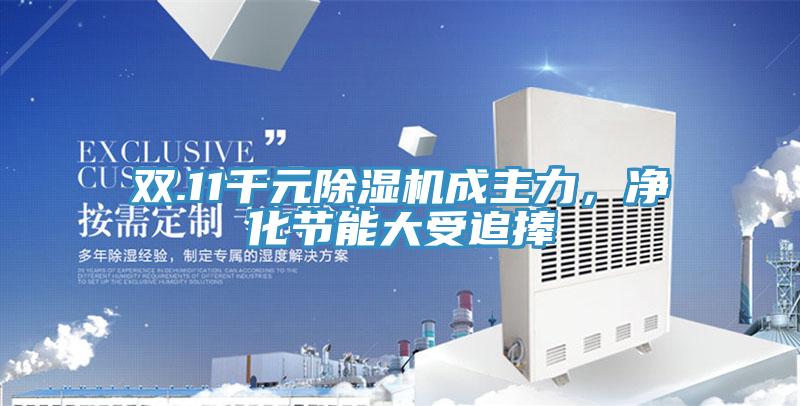 雙.11千元除濕機(jī)成主力，凈化節(jié)能大受追捧