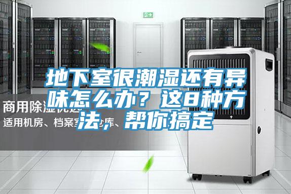 地下室很潮湿还有异味怎么办？这8种方法，帮你搞定