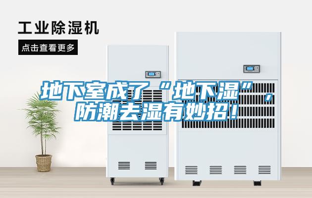地下室成了“地下湿”，防潮去湿有妙招！