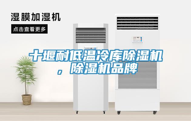 十堰耐低溫冷庫除濕機(jī)，除濕機(jī)品牌