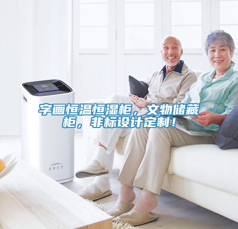 字画恒温恒湿柜，文物储藏柜，非标设计定制！