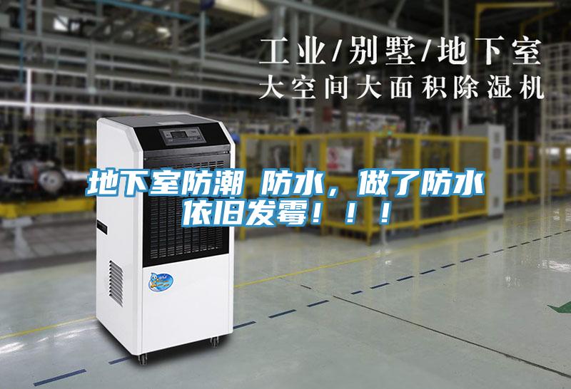地下室防潮≠防水，做了防水依旧发霉?。?！