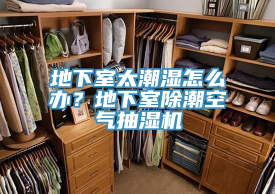 地下室太潮湿怎么办？地下室除潮空气抽湿机