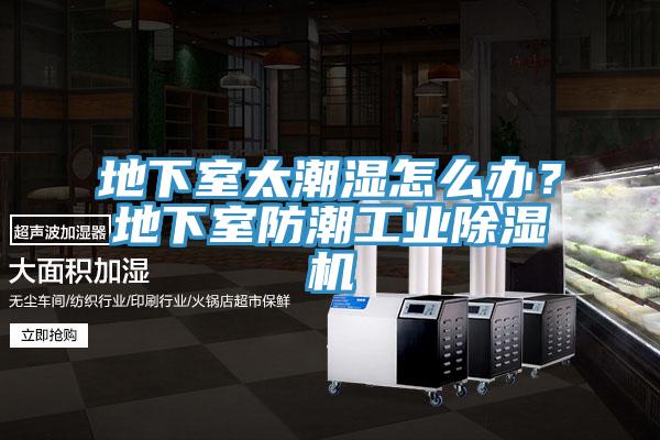 地下室太潮濕怎么辦？地下室防潮工業(yè)除濕機(jī)