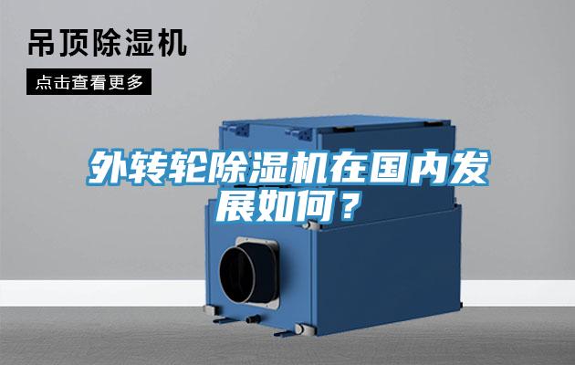 外轉(zhuǎn)輪除濕機(jī)在國內(nèi)發(fā)展如何？