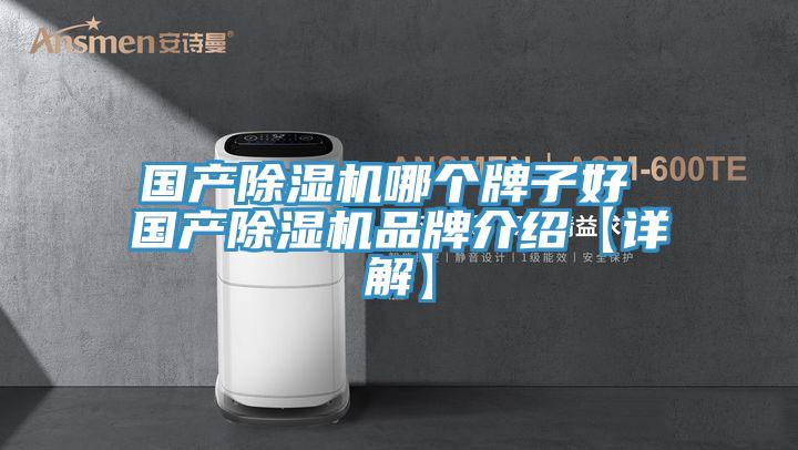 国产除湿机哪个牌子好 国产除湿机品牌介绍【详解】