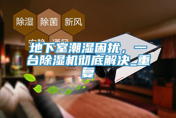 地下室潮濕困擾，一臺除濕機徹底解決_重復
