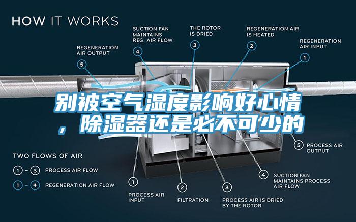 別被空氣濕度影響好心情，除濕器還是必不可少的