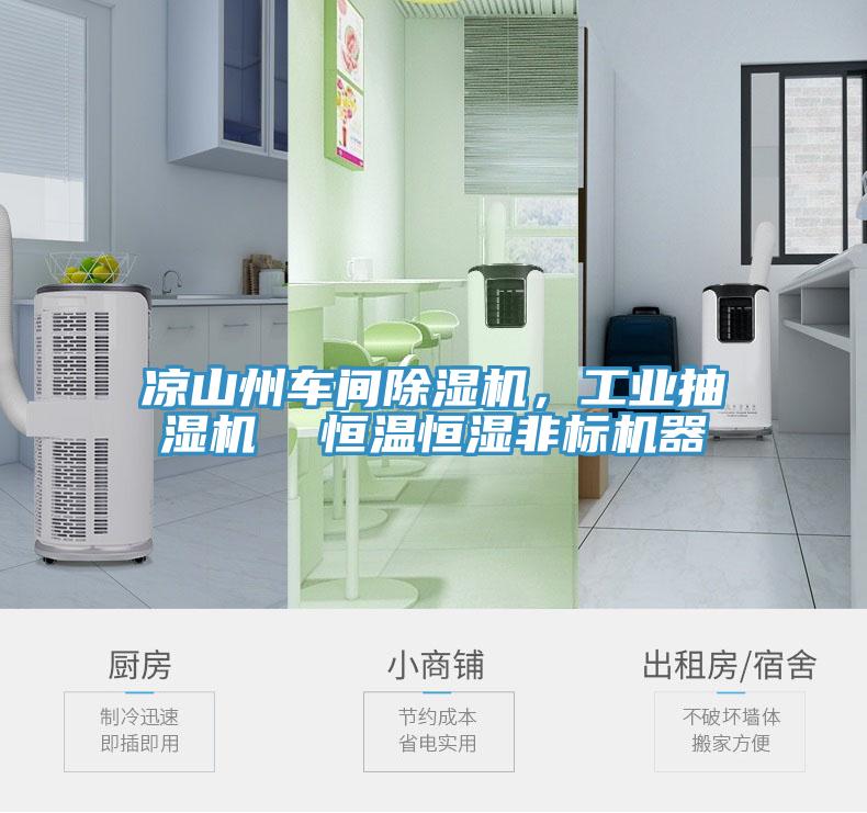 涼山州車間除濕機(jī)，工業(yè)抽濕機(jī)  恒溫恒濕非標(biāo)機(jī)器