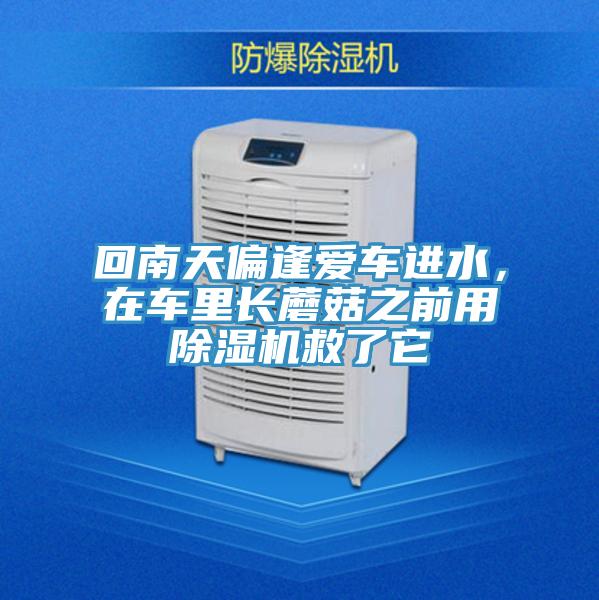 回南天偏逢愛車進(jìn)水，在車?yán)镩L蘑菇之前用除濕機(jī)救了它