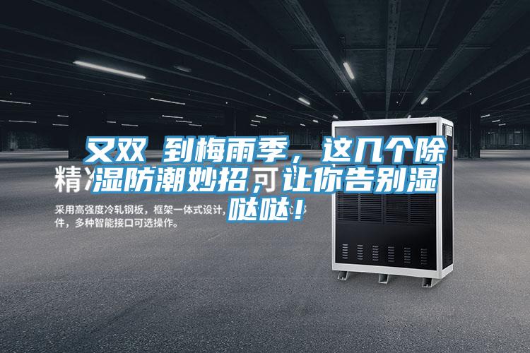 又雙叒到梅雨季，這幾個除濕防潮妙招，讓你告別濕噠噠！