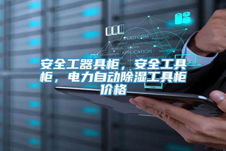 安全工器具柜，安全工具柜，電力自動(dòng)除濕工具柜價(jià)格