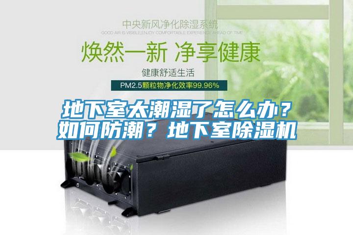 地下室太潮濕了怎么辦？如何防潮？地下室除濕機(jī)