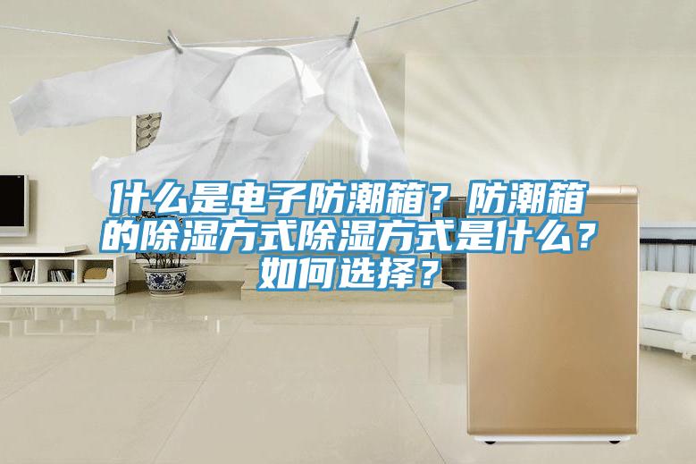 什么是電子防潮箱？防潮箱的除濕方式除濕方式是什么？如何選擇？