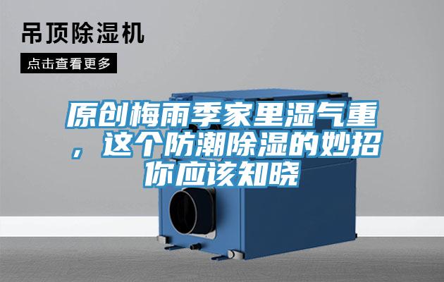 原創(chuàng)梅雨季家里濕氣重，這個防潮除濕的妙招你應該知曉