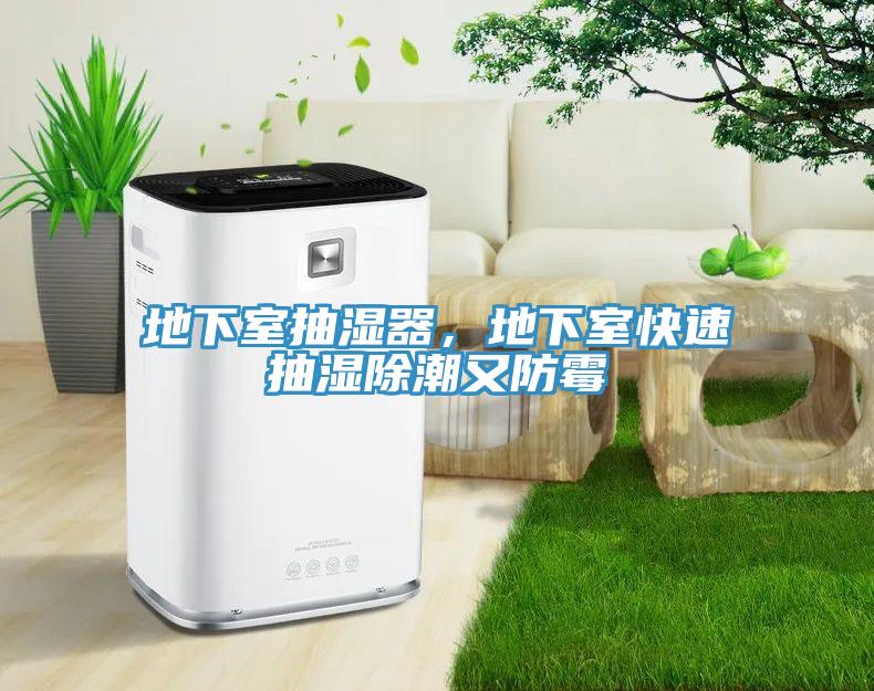 地下室抽湿器，地下室快速抽湿除潮又防霉