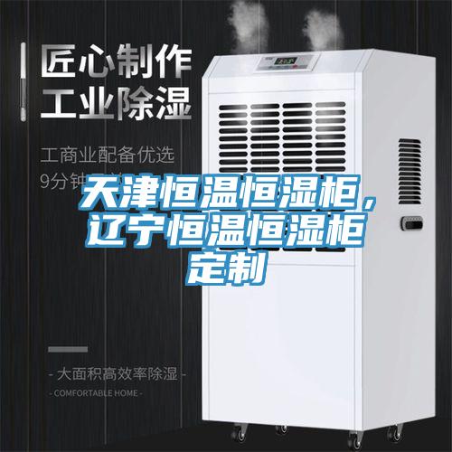 天津恒温恒湿柜，辽宁恒温恒湿柜定制
