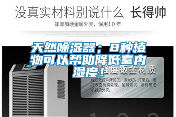 天然除濕器；8種植物可以幫助降低室內(nèi)濕度！