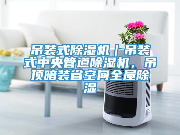 吊裝式除濕機｜吊裝式中央管道除濕機，吊頂暗裝省空間全屋除濕