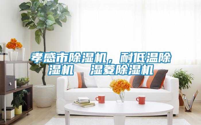 孝感市除濕機(jī)，耐低溫除濕機(jī)  濕菱除濕機(jī)