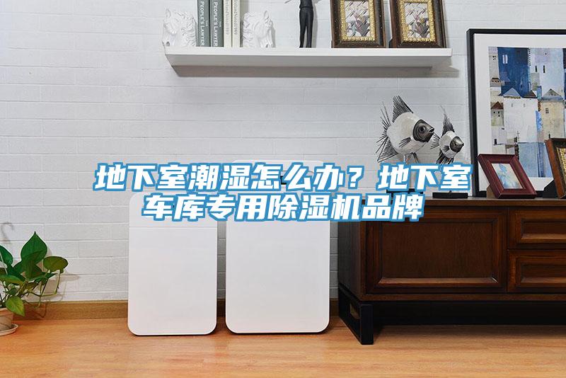 地下室潮湿怎么办？地下室车库专用除湿机品牌