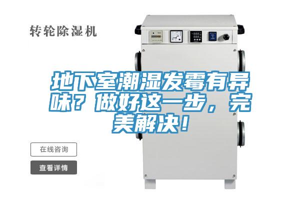 地下室潮湿发霉有异味？做好这一步，完美解决！
