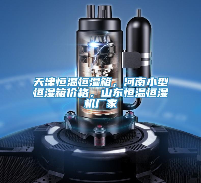 天津恒温恒湿箱，河南小型恒湿箱价格，山东恒温恒湿机厂家