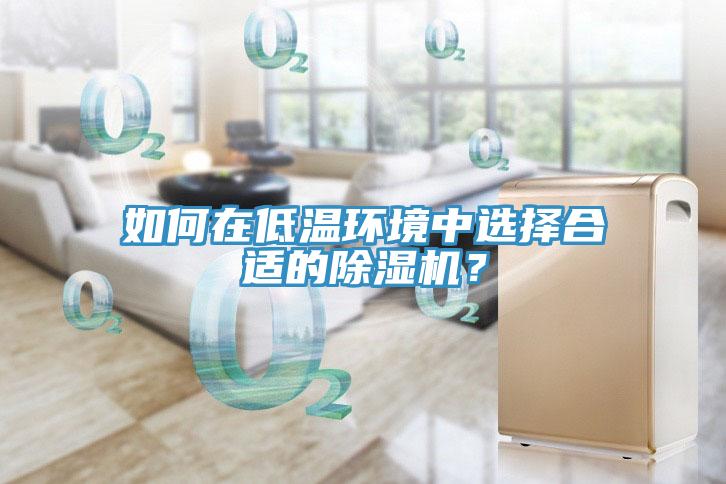 如何在低溫環(huán)境中選擇合適的除濕機(jī)？