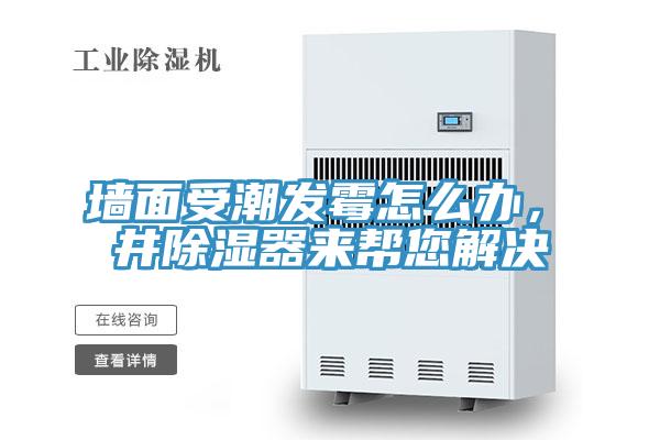 墻面受潮發(fā)霉怎么辦，東井除濕器來幫您解決