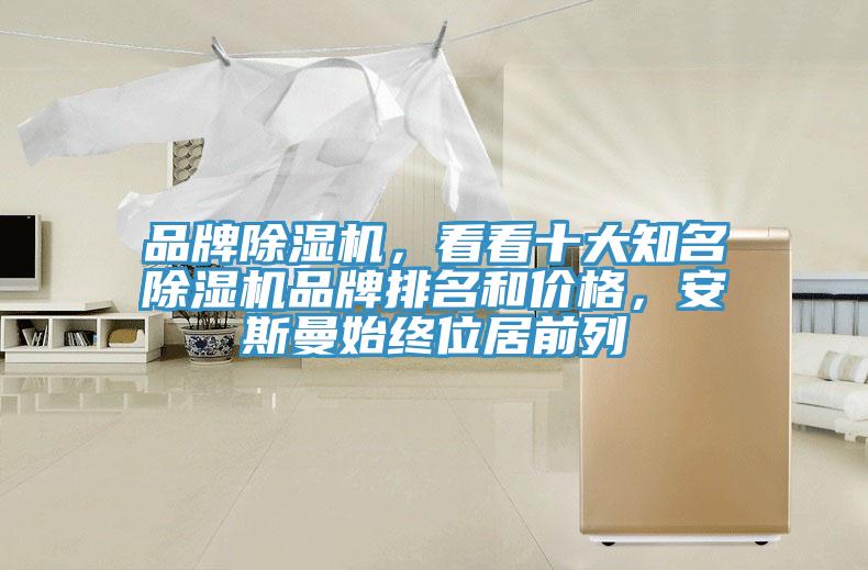 品牌除濕機(jī)，看看十大知名除濕機(jī)品牌排名和價(jià)格，安斯曼始終位居前列
