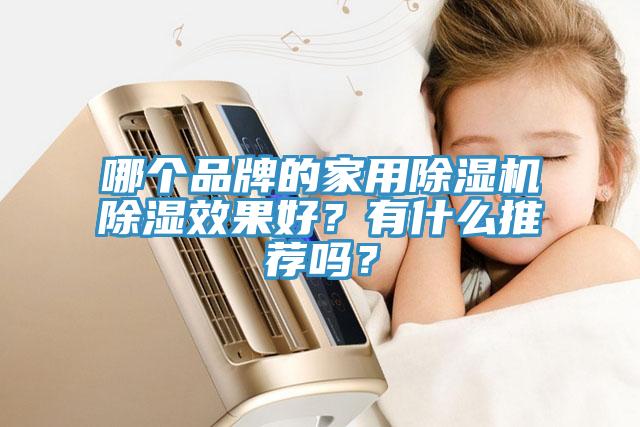 哪个品牌的家用除湿机除湿效果好？有什么推荐吗？