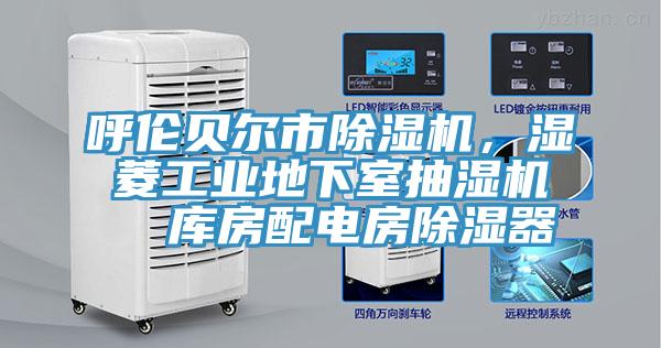 呼倫貝爾市除濕機(jī)，濕菱工業(yè)地下室抽濕機(jī)  庫房配電房除濕器