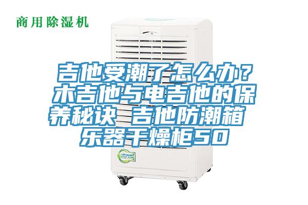 吉他受潮了怎么辦？木吉他與電吉他的保養(yǎng)秘訣 吉他防潮箱 樂器干燥柜50