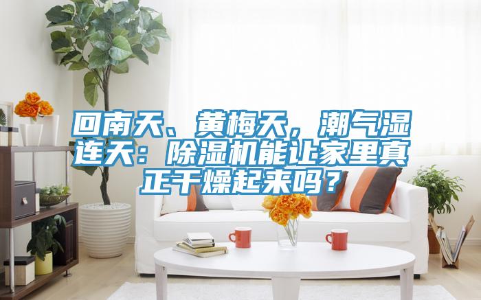 回南天、黃梅天，潮氣濕連天：除濕機(jī)能讓家里真正干燥起來嗎？