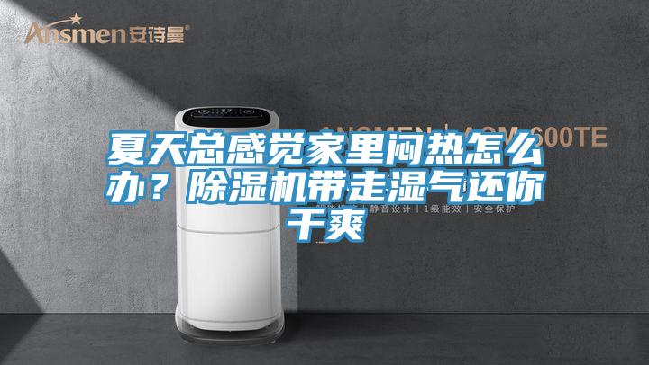 夏天總感覺(jué)家里悶熱怎么辦？除濕機(jī)帶走濕氣還你干爽
