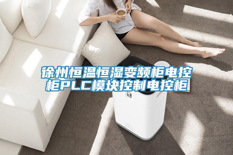 徐州恒温恒湿变频柜电控柜PLC?？榭刂频缈毓?></div>
								<div class=