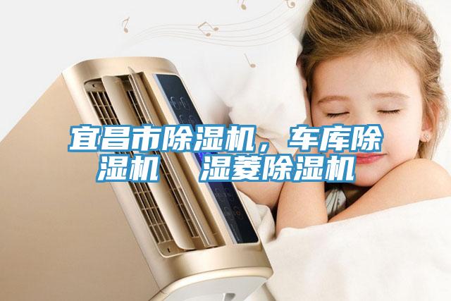 宜昌市除濕機(jī)，車(chē)庫(kù)除濕機(jī)  濕菱除濕機(jī)