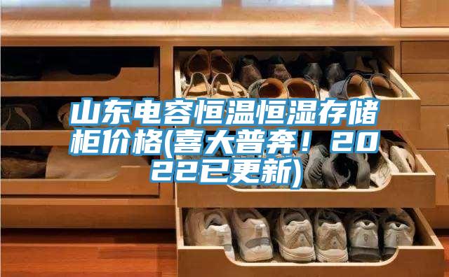 山东电容恒温恒湿存储柜价格(喜大普奔！2022已更新)