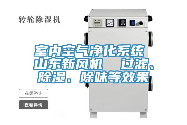 室內(nèi)空氣凈化系統(tǒng) 山東新風機  過濾、除濕、除味等效果