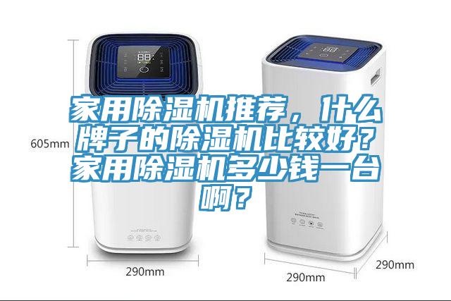 家用除濕機(jī)推薦，什么牌子的除濕機(jī)比較好？家用除濕機(jī)多少錢一臺?。?></div>
								<div   id=
