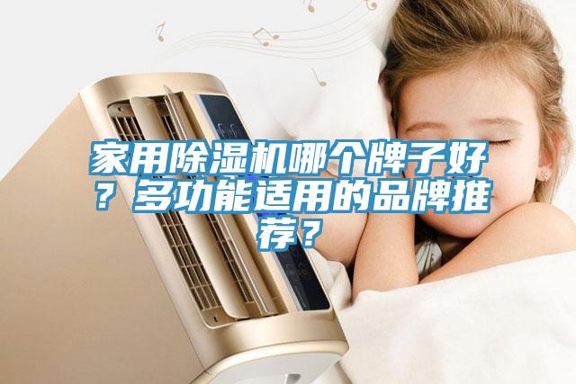 家用除湿机哪个牌子好？多功能适用的品牌推荐？