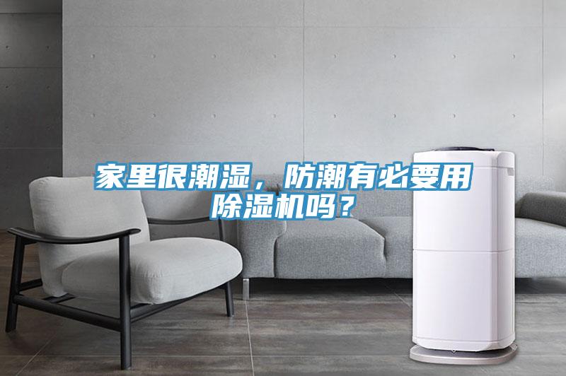 家里很潮濕，防潮有必要用除濕機(jī)嗎？