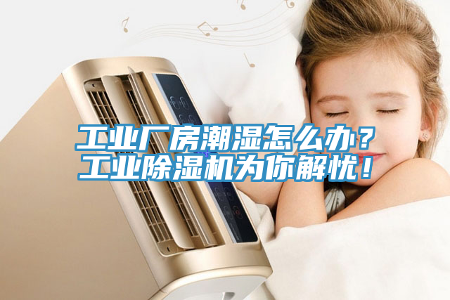 工業(yè)廠房潮濕怎么辦？工業(yè)除濕機(jī)為你解憂！