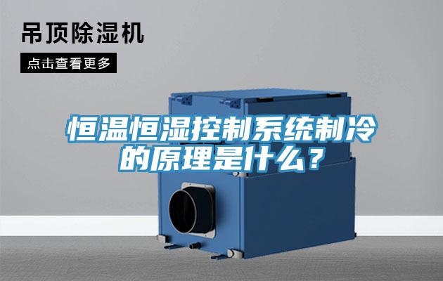 恒温恒湿控制系统制冷的原理是什么？