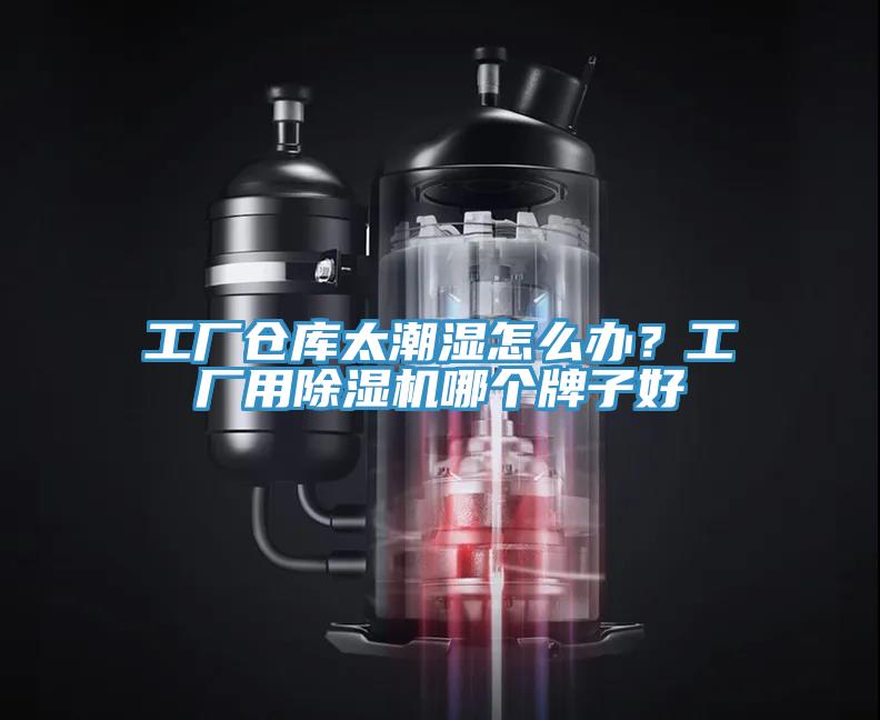 工厂仓库太潮湿怎么办？工厂用除湿机哪个牌子好