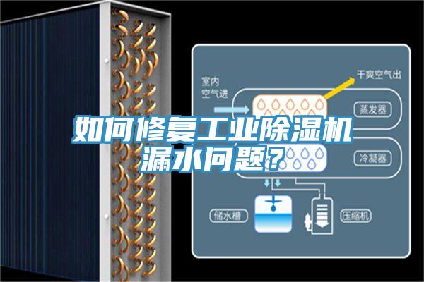 如何修復(fù)工業(yè)除濕機(jī)漏水問題？