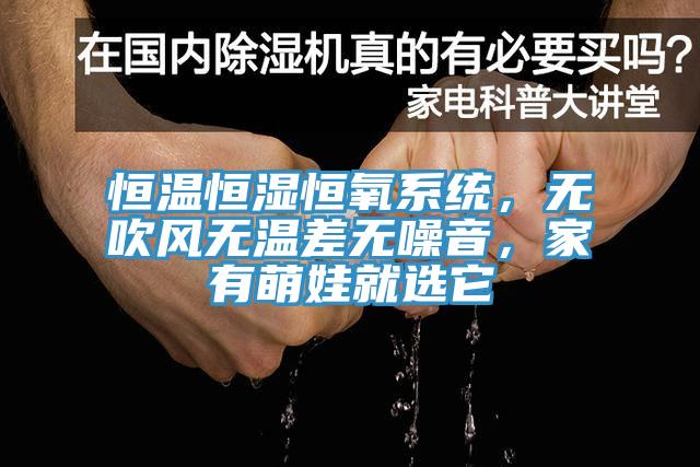 恒温恒湿恒氧系统，无吹风无温差无噪音，家有萌娃就选它