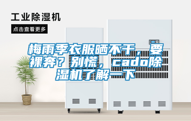 梅雨季衣服曬不干，要裸奔？別慌，cado除濕機了解一下