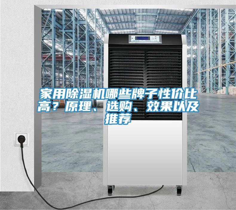 家用除濕機哪些牌子性價比高？原理、選購、效果以及推薦