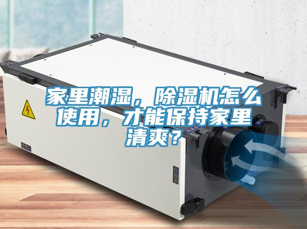 家里潮濕，除濕機怎么使用，才能保持家里清爽？